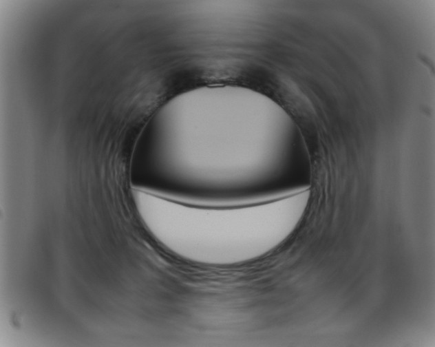 X0000097820227200803140813