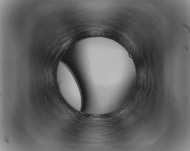 X0000097820228200803140813