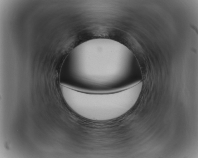 X0000097820229200803140813