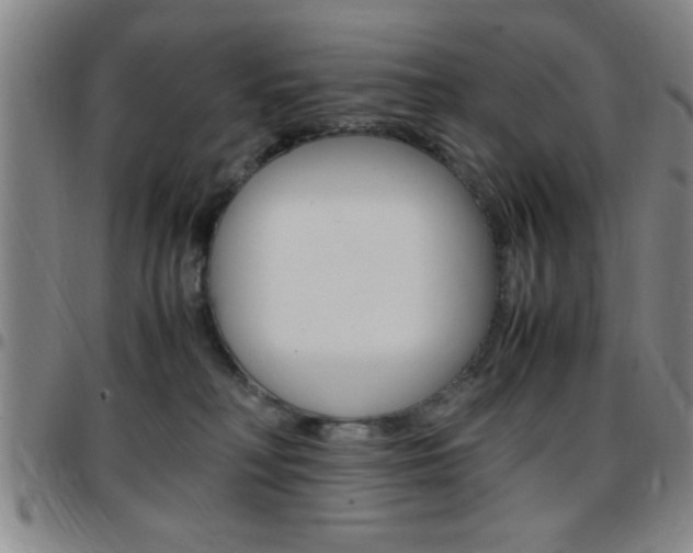 X0000097820230200803140813