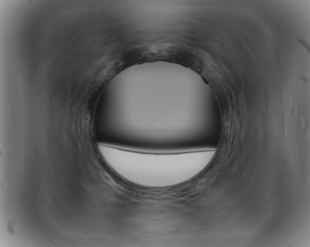 X0000097820231200803140813