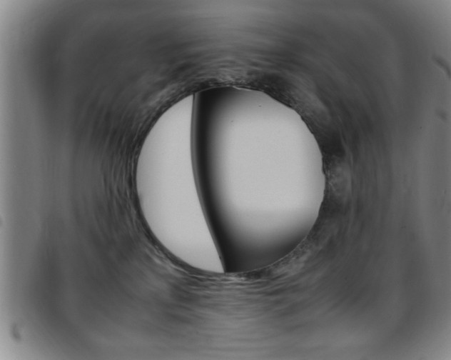 X0000097820233200803140813