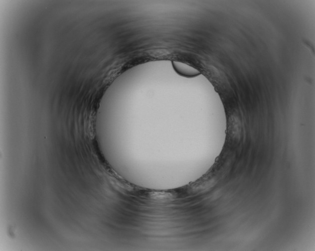 X0000097820234200803140813