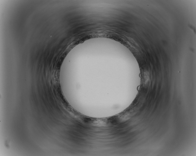 X0000097820236200803140813