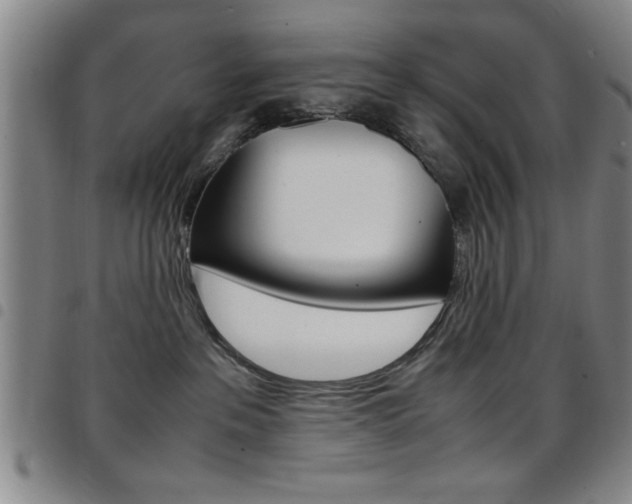 X0000097820237200803140813