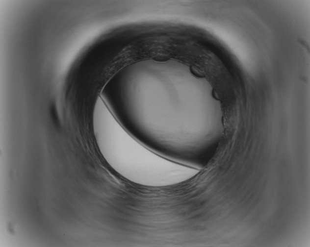 X0000097820239200803140813