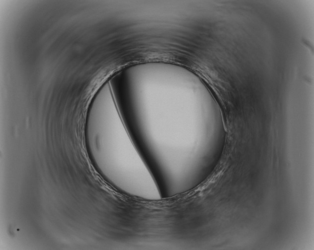 X0000097820241200803140812