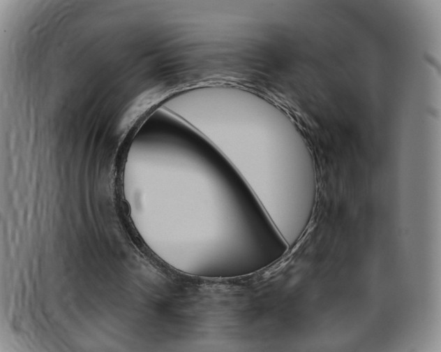 X0000097820242200803140812