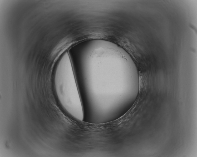 X0000097820243200803140812