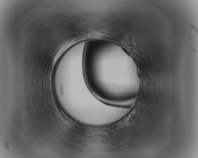 X0000097820244200803140812