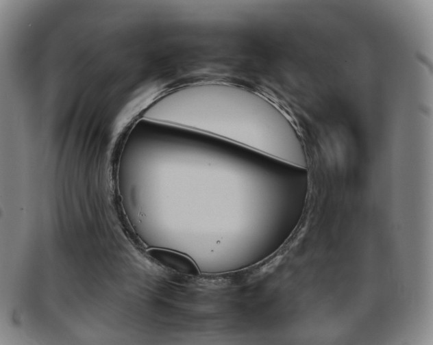 X0000097820245200803140812