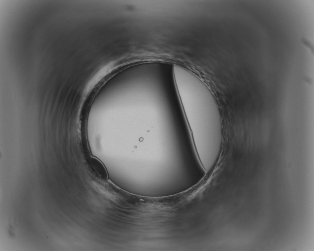 X0000097820246200803140812