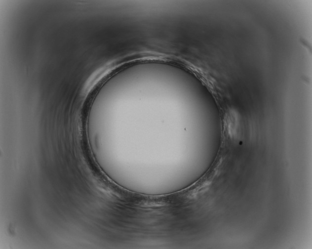 X0000097820247200803140812