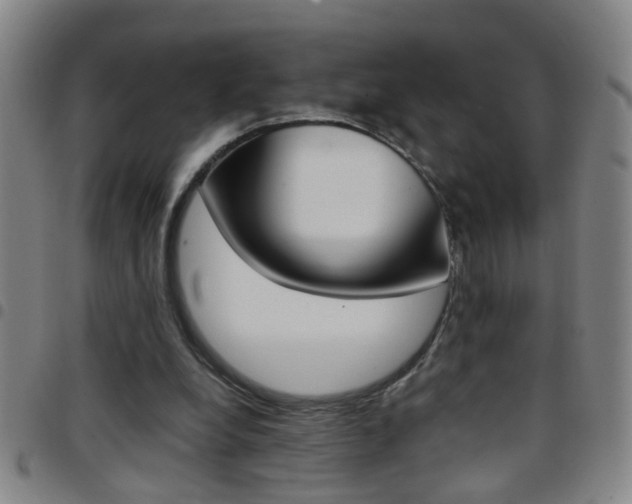 X0000097820248200803140812