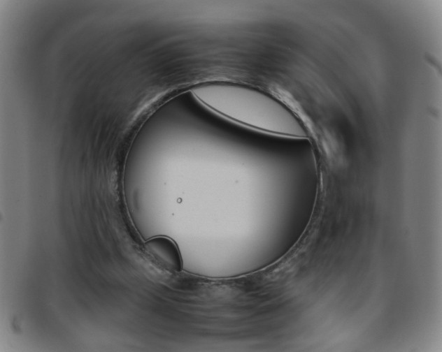 X0000097820249200803140812