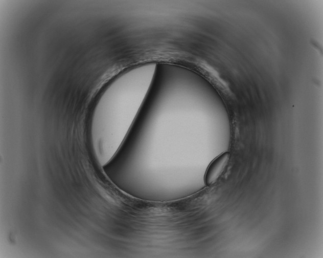 X0000097820250200803140812