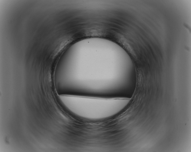 X0000097820251200803140812