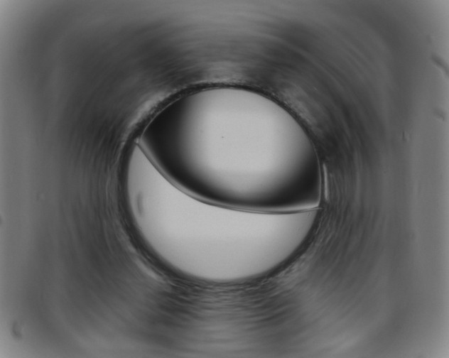 X0000097820252200803140812