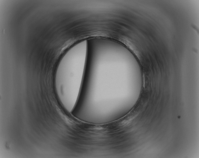 X0000097820253200803140812