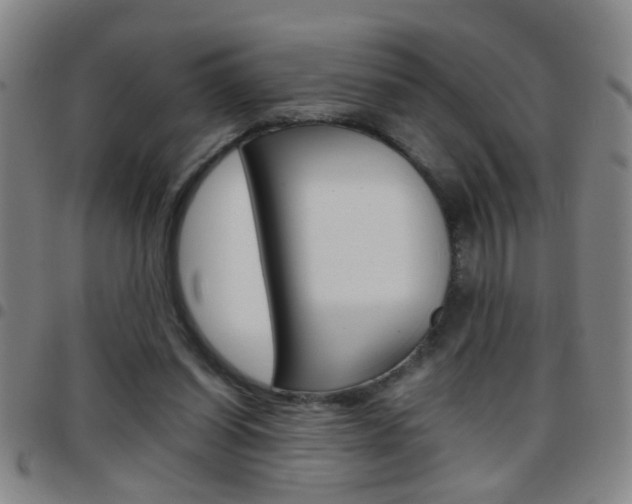 X0000097820254200803140812