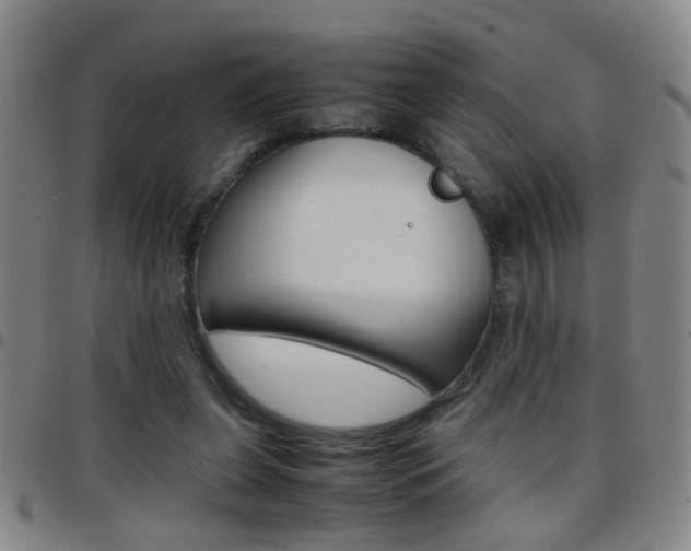 X0000097820255200803140812