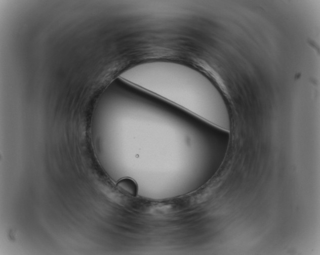 X0000097820257200803140812