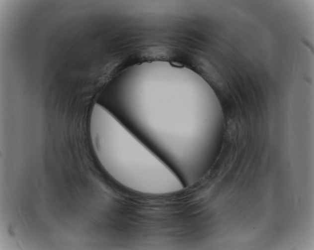 X0000097820259200803140812