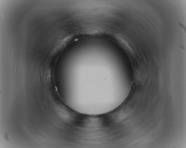 X0000097820260200803140812