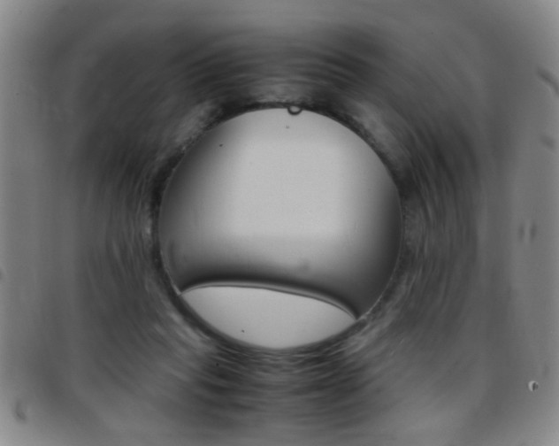 X0000097820261200803140812