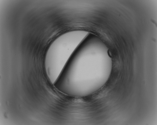 X0000097820262200803140812