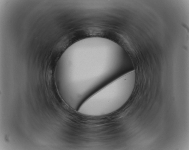 X0000097820263200803140812