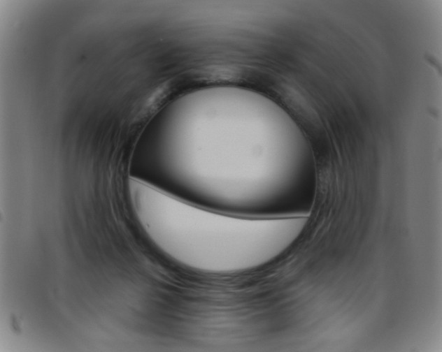 X0000097820264200803140812