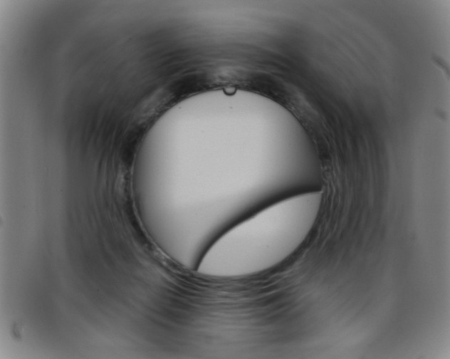 X0000097820266200803140812