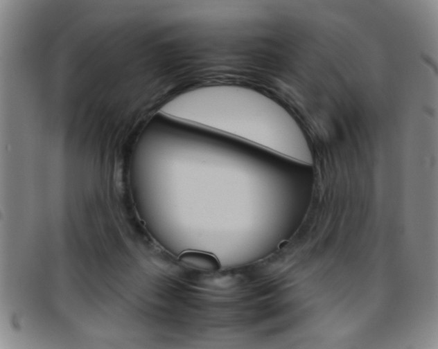 X0000097820267200803140812