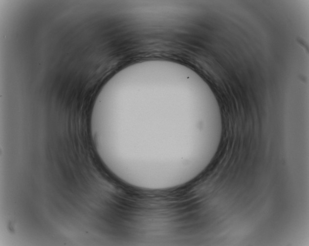 X0000097820268200803140812