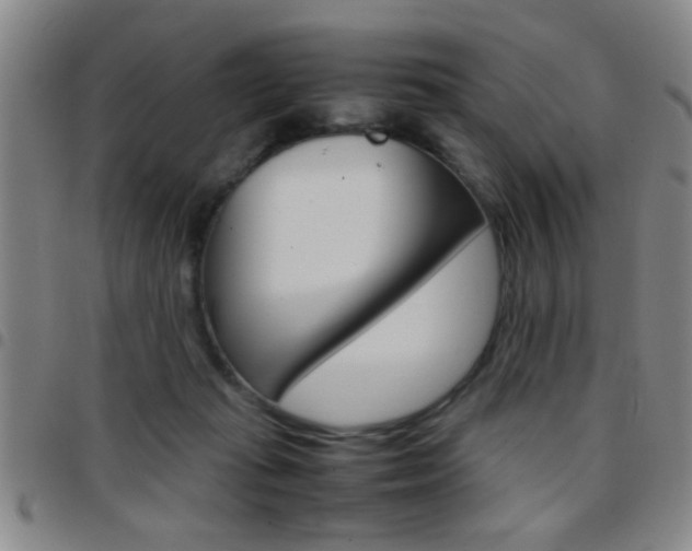 X0000097820269200803140812