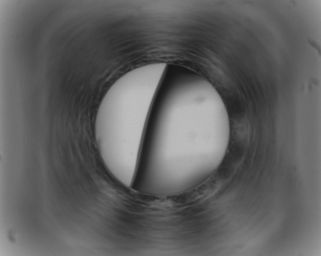 X0000097820271200803140812