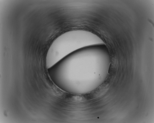 X0000097820272200803140812