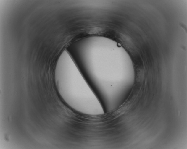 X0000097820273200803140812