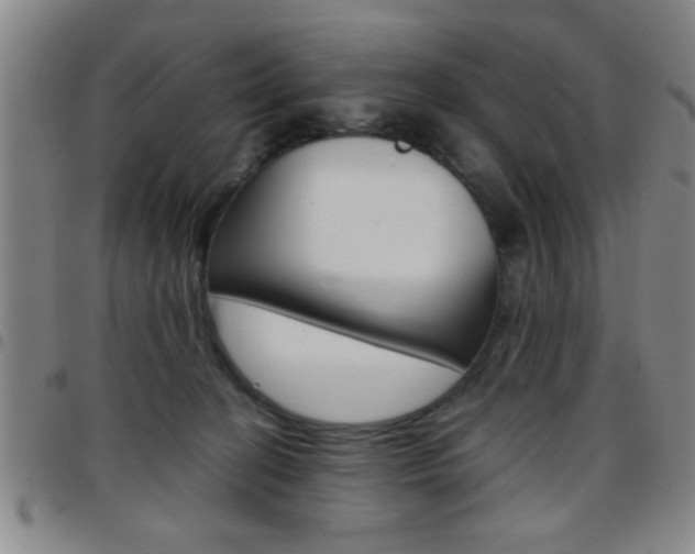 X0000097820274200803140812