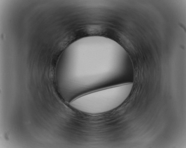 X0000097820277200803140812