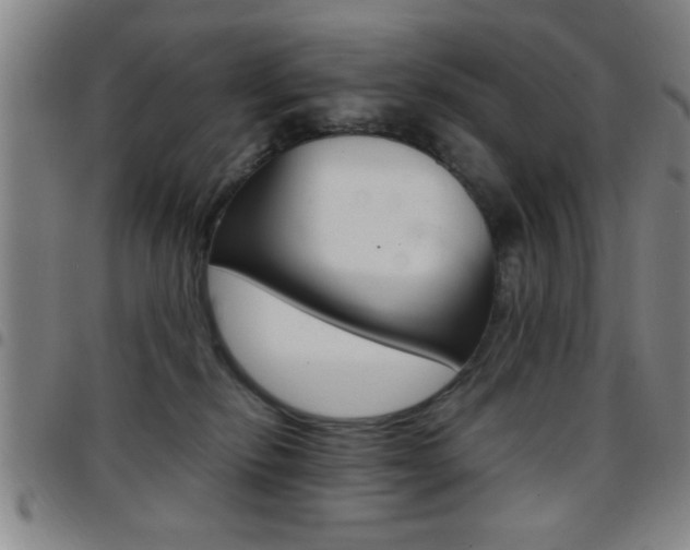 X0000097820278200803140812