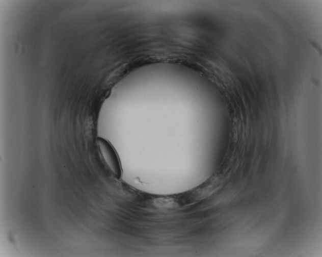 X0000097820279200803140812