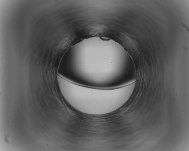 X0000097820280200803140812