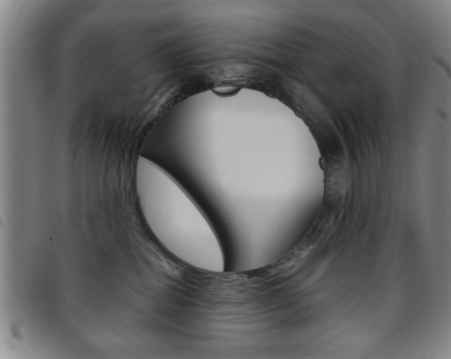 X0000097820282200803140812