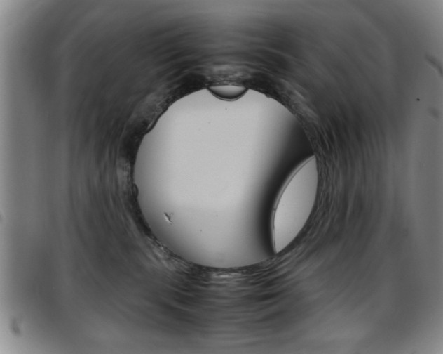 X0000097820283200803140812