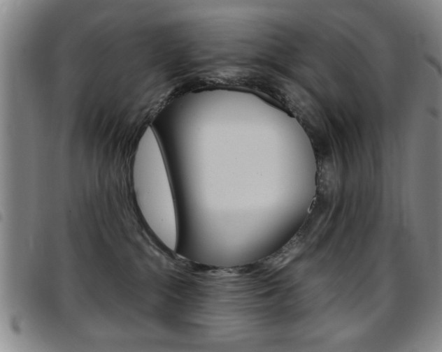 X0000097820284200803140812