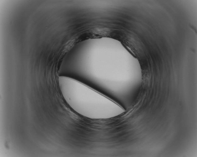 X0000097820285200803140812