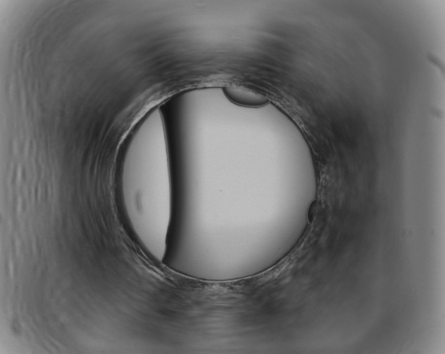 X0000097820290200803140812