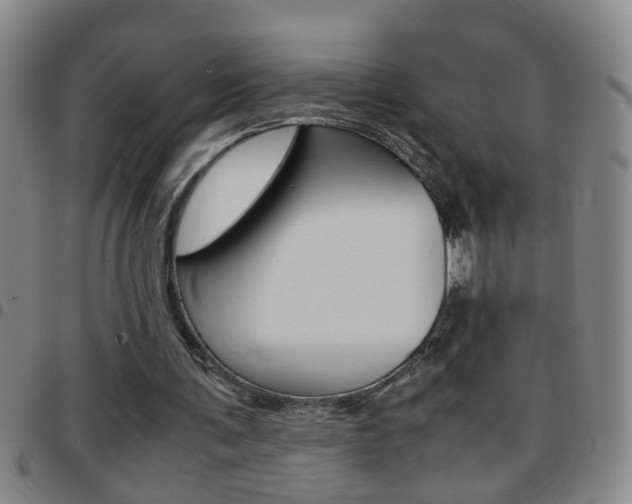 X0000097820291200803140812